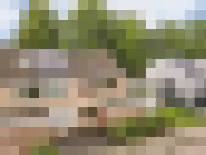 De Schalm 39 Dronten thumbnail 6