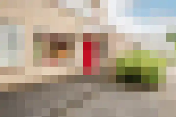 De Schalm 39 Dronten thumbnail 7