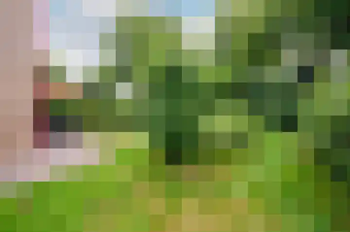 De Schalm 39 Dronten thumbnail 70