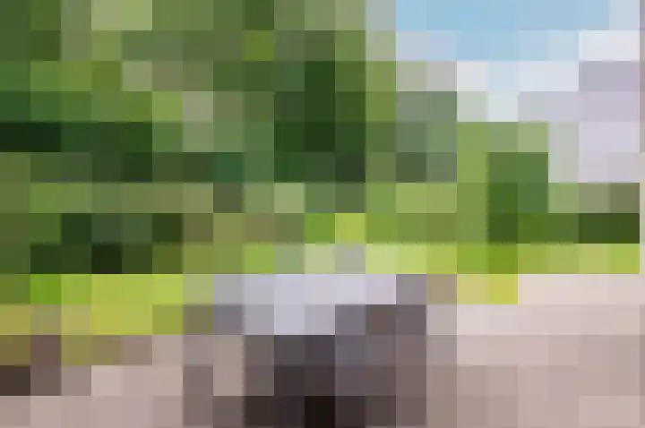 De Schalm 39 Dronten thumbnail 71