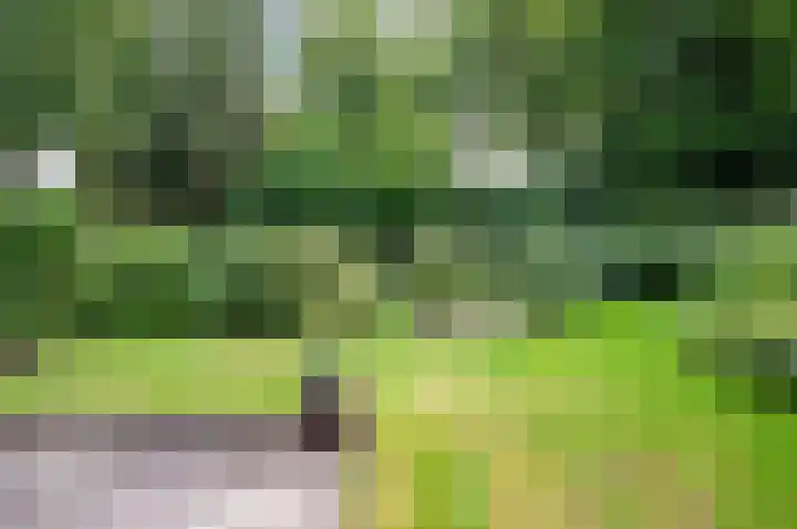 De Schalm 39 Dronten thumbnail 72