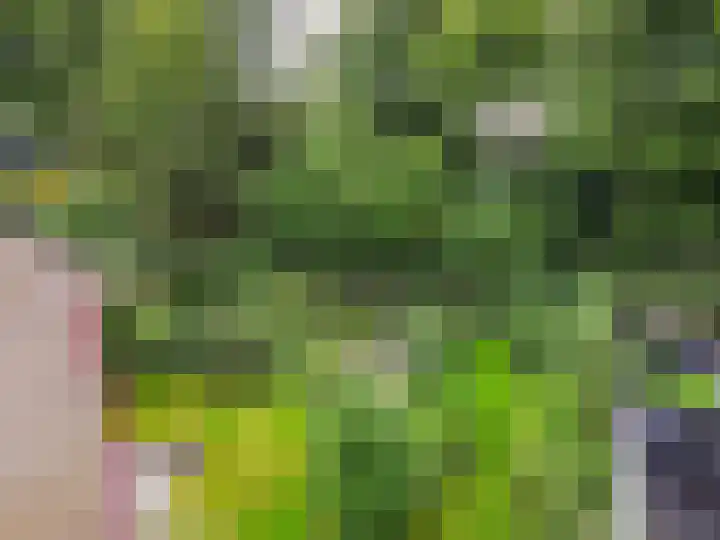 De Schalm 39 Dronten thumbnail 73