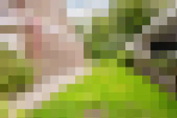 De Schalm 39 Dronten thumbnail 74