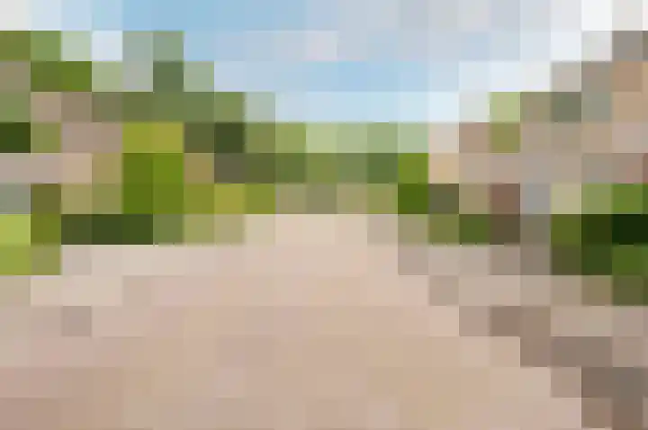 De Schalm 39 Dronten thumbnail 80