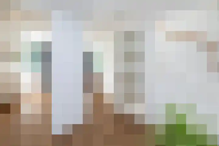 De Schalm 41 Dronten thumbnail 20