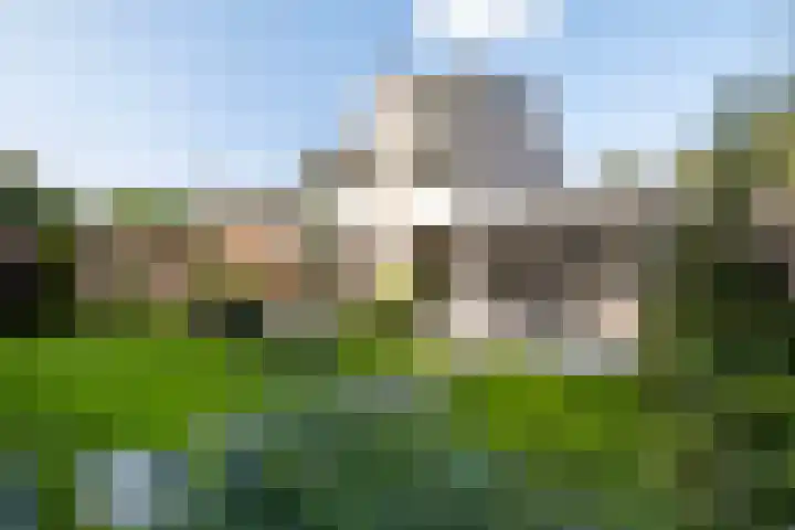 De Schalm 41 Dronten thumbnail 30