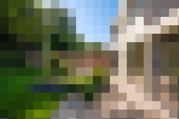 De Schalm 41 Dronten thumbnail 32