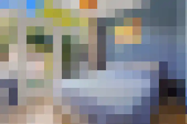 De Schalm 41 Dronten thumbnail 34