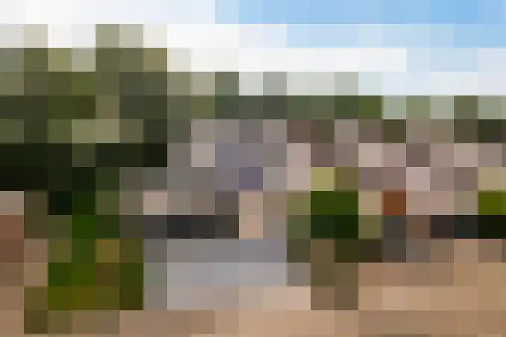 De Schalm 41 Dronten thumbnail 6