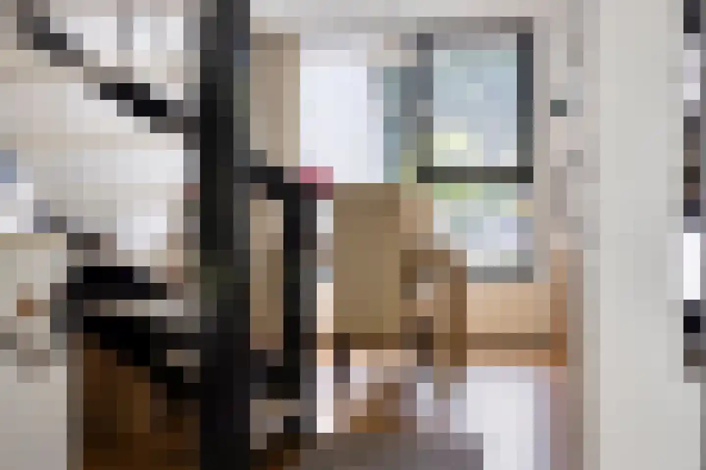 De Schalm 45 Dronten thumbnail 12