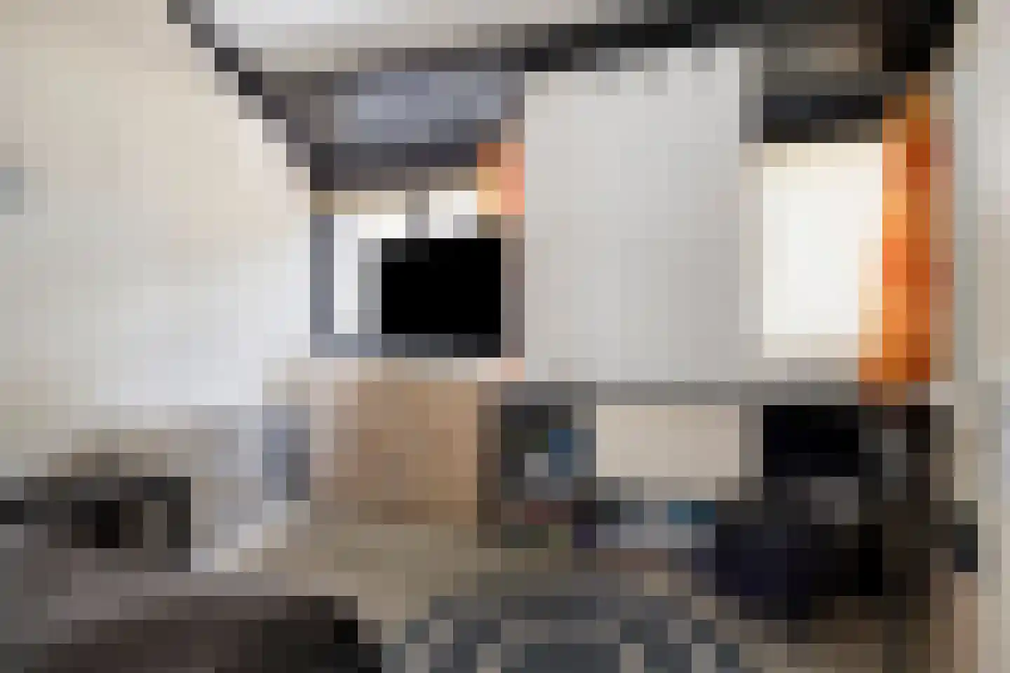 De Schalm 45 Dronten thumbnail 22
