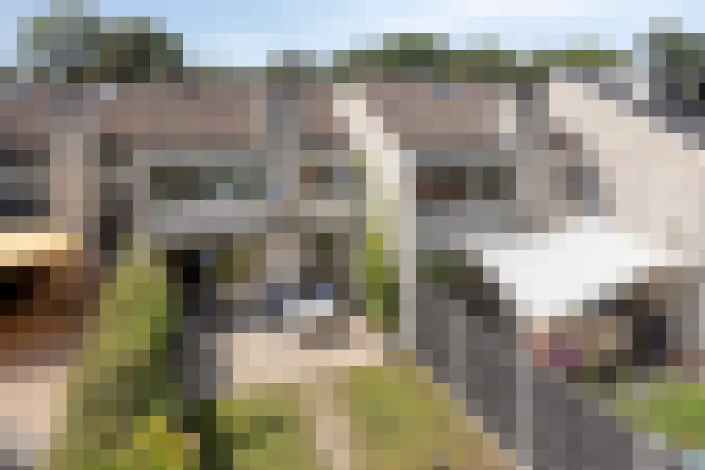 De Schalm 45 Dronten thumbnail 29