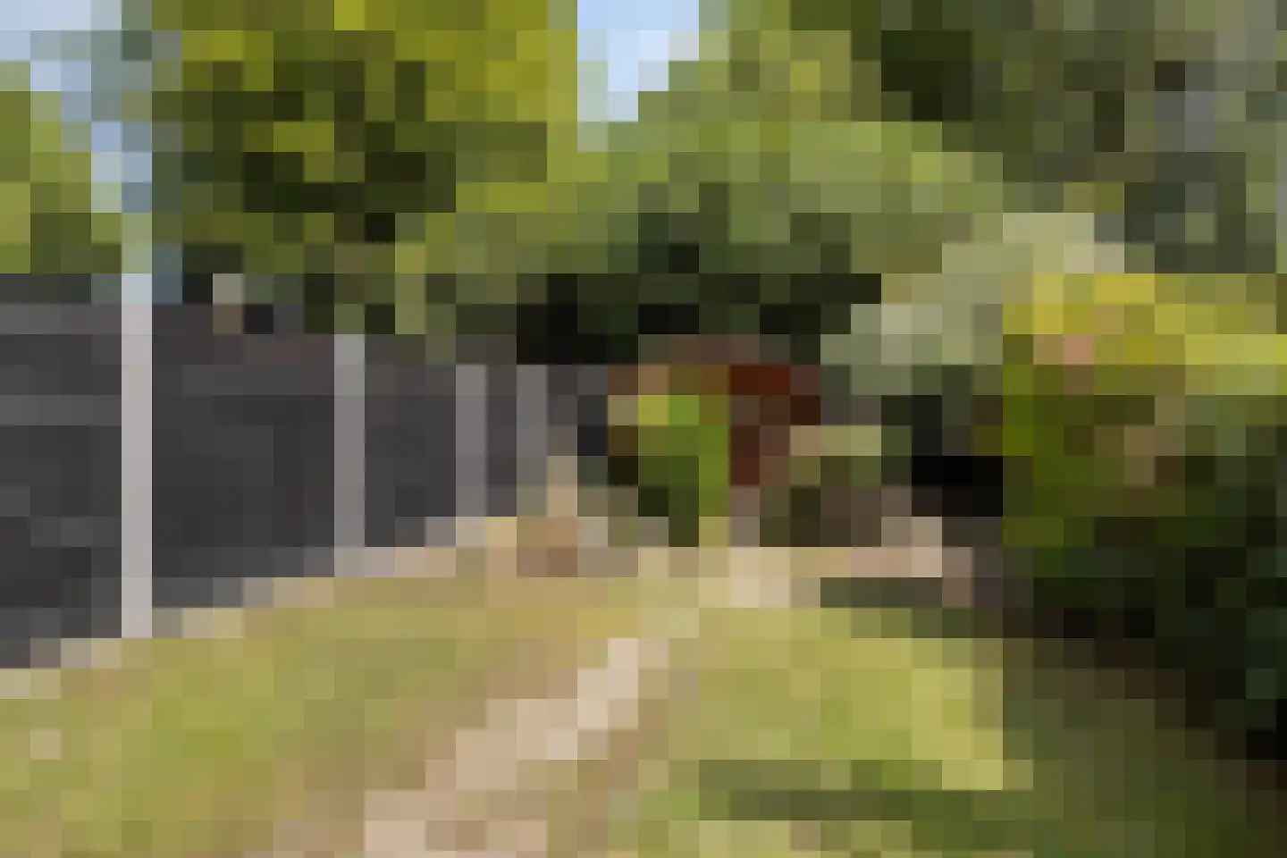 De Schalm 45 Dronten thumbnail 31
