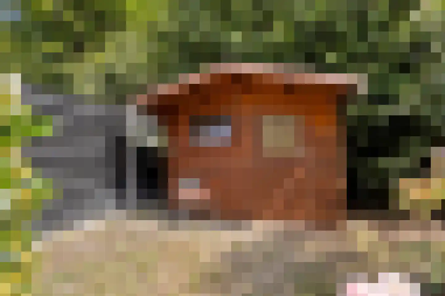 De Schalm 45 Dronten thumbnail 32