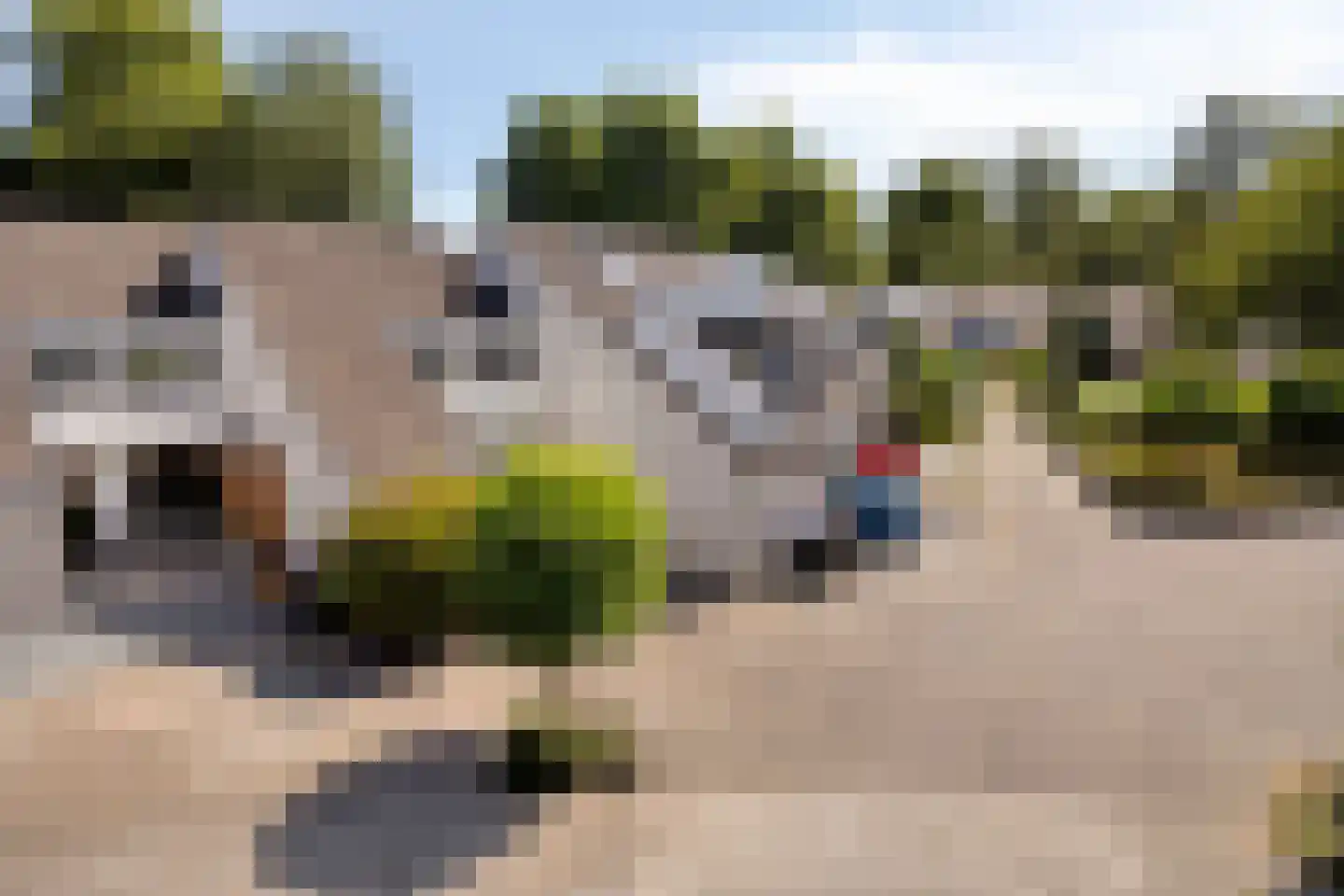 De Schalm 45 Dronten thumbnail 34