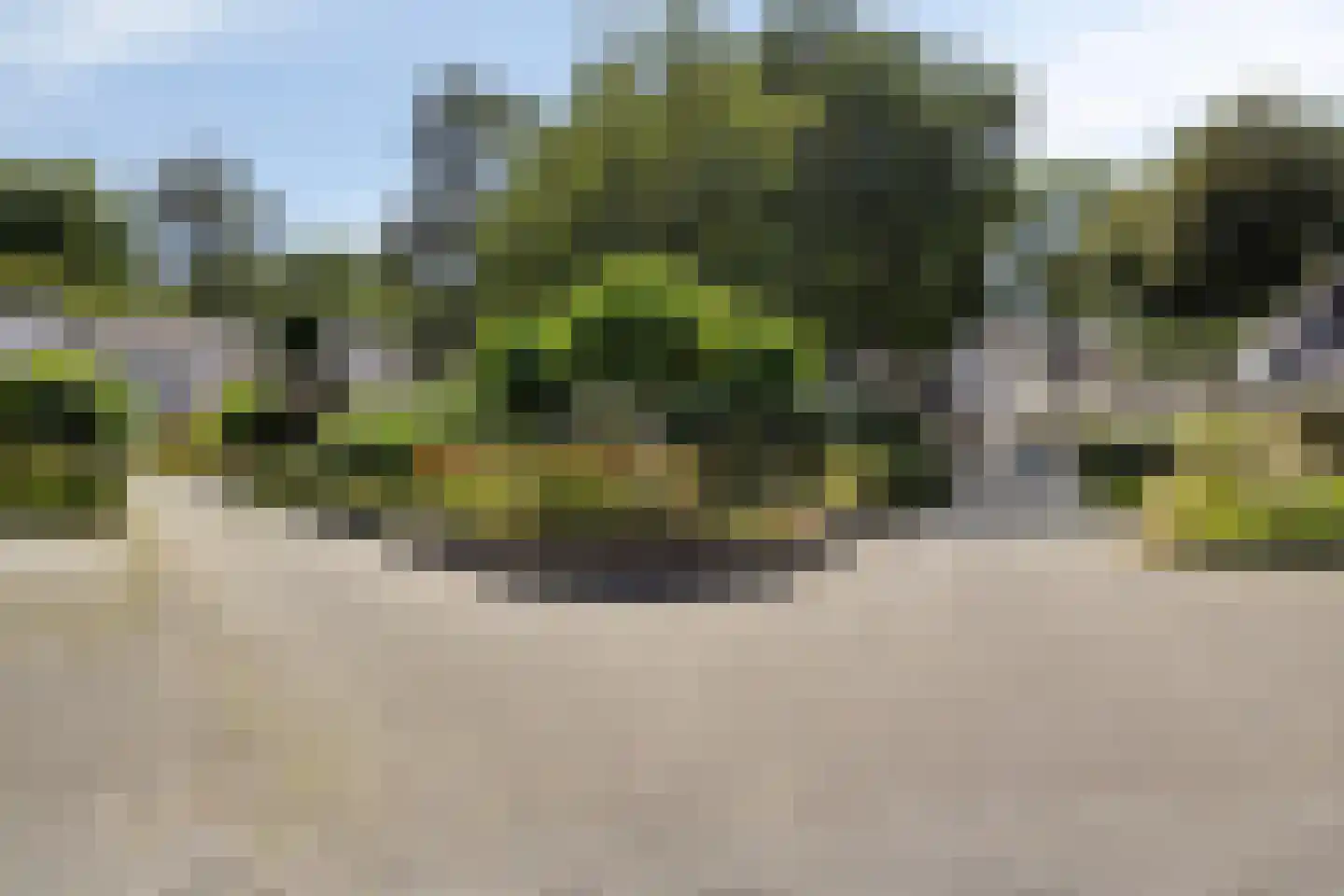 De Schalm 45 Dronten thumbnail 36