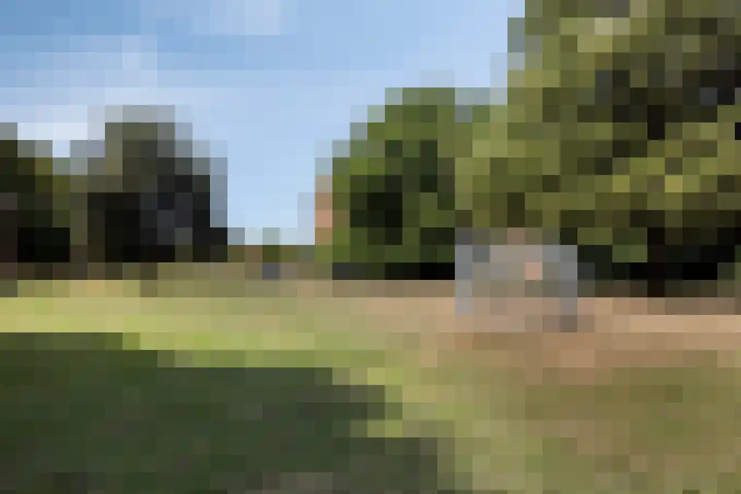 De Schalm 45 Dronten thumbnail 37