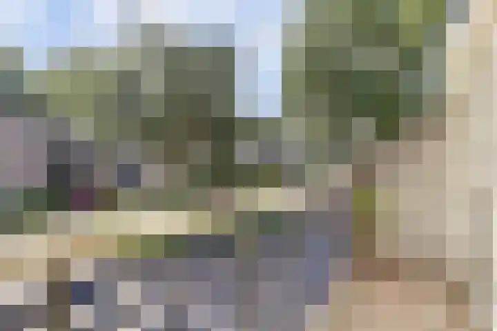 De Schalm 5 Dronten thumbnail 20