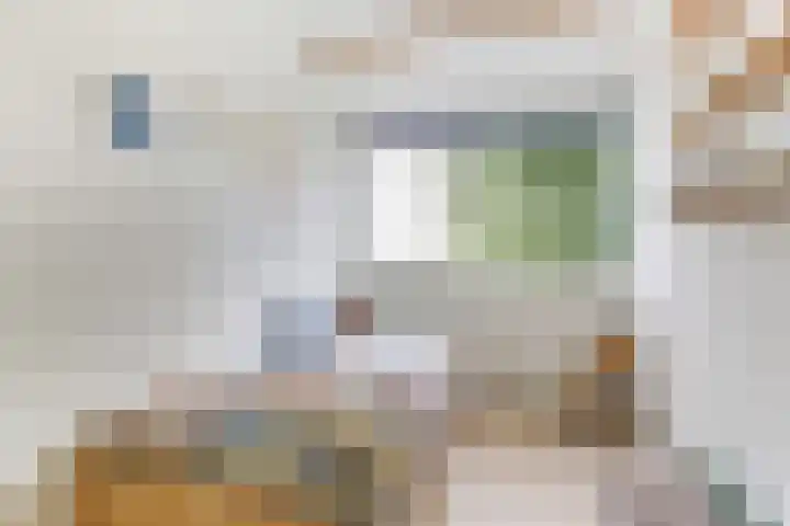 De Schalm 5 Dronten thumbnail 21