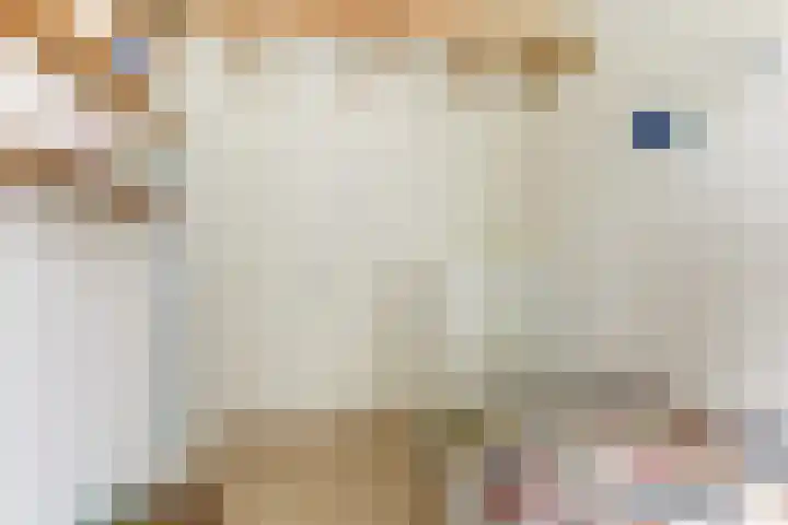 De Schalm 5 Dronten thumbnail 22