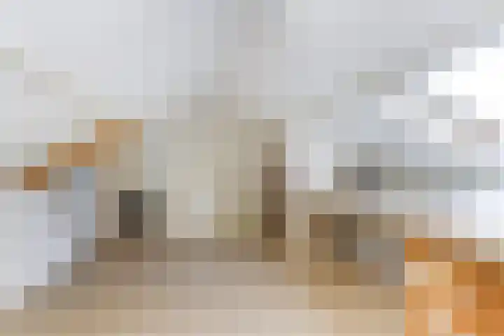 De Schalm 5 Dronten thumbnail 27