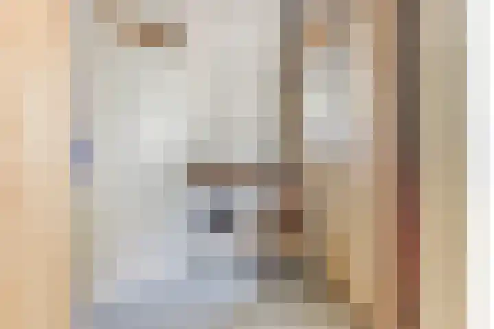 De Schalm 5 Dronten thumbnail 30