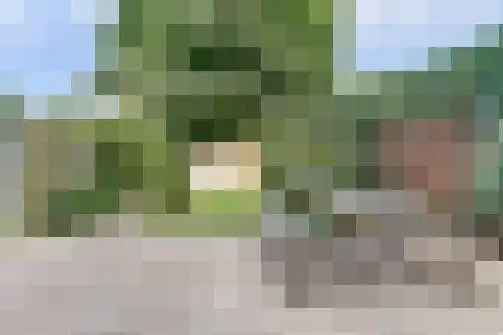 De Schalm 5 Dronten thumbnail 32