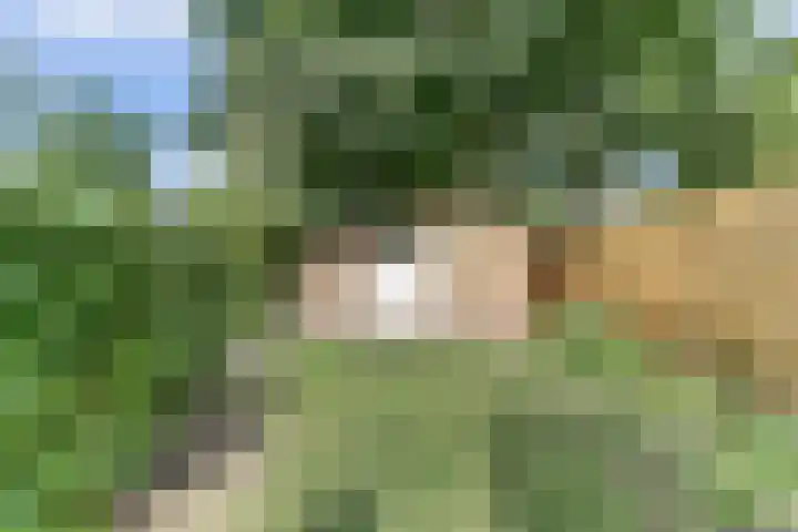 De Schalm 5 Dronten thumbnail 33
