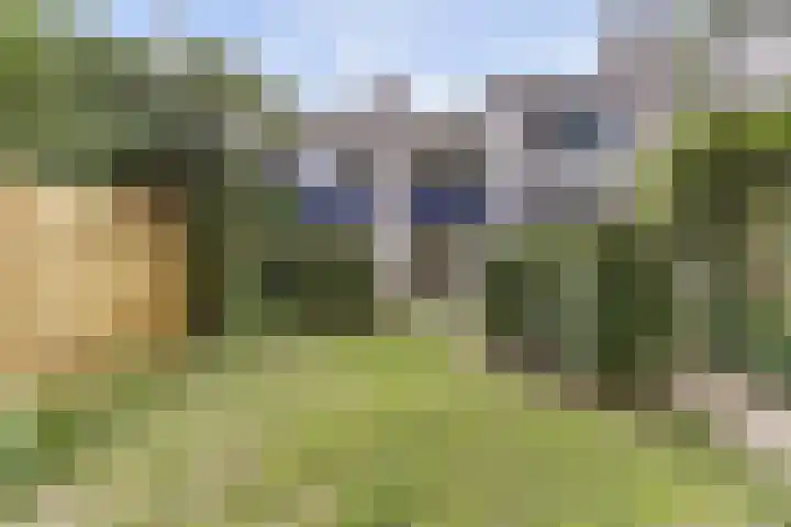 De Schalm 5 Dronten thumbnail 34