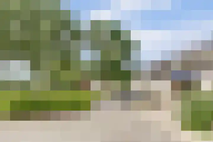 De Schalm 5 Dronten thumbnail 35