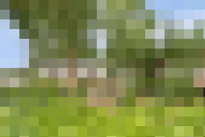 De Schalm 5 Dronten thumbnail 36