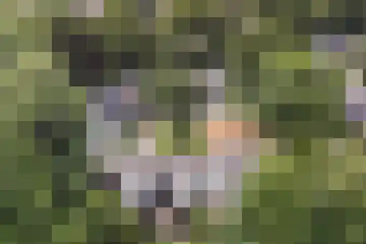 De Schalm 5 Dronten thumbnail 37