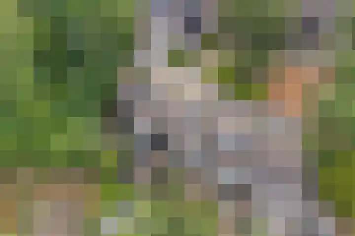 De Schalm 5 Dronten thumbnail 38
