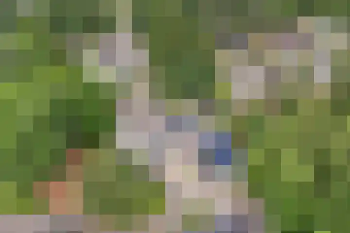 De Schalm 5 Dronten thumbnail 39
