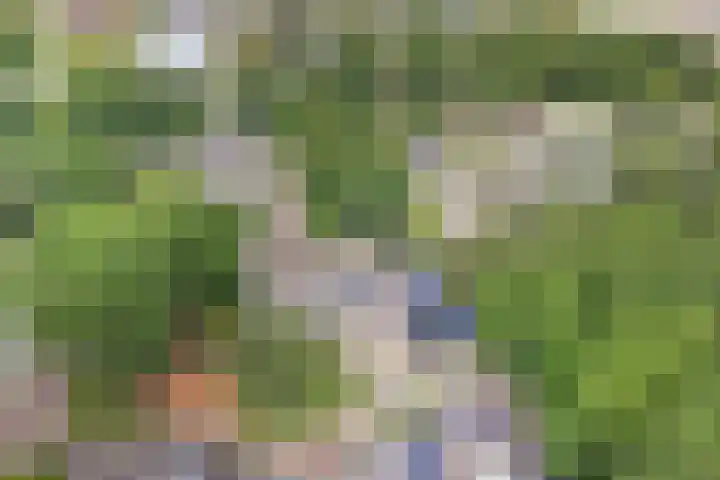 De Schalm 5 Dronten thumbnail 40