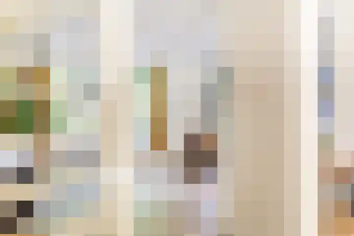 De Schalm 5 Dronten thumbnail 7