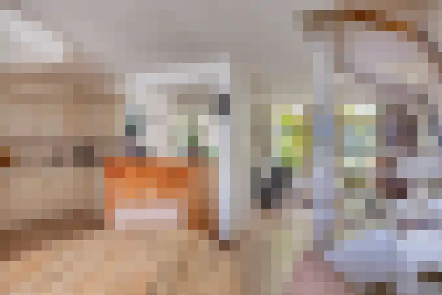 De Schalm 71 Dronten thumbnail 13