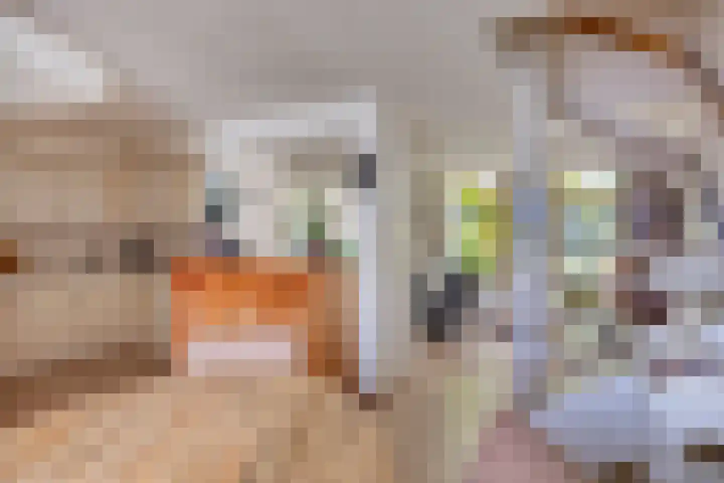 De Schalm 71 Dronten thumbnail 14