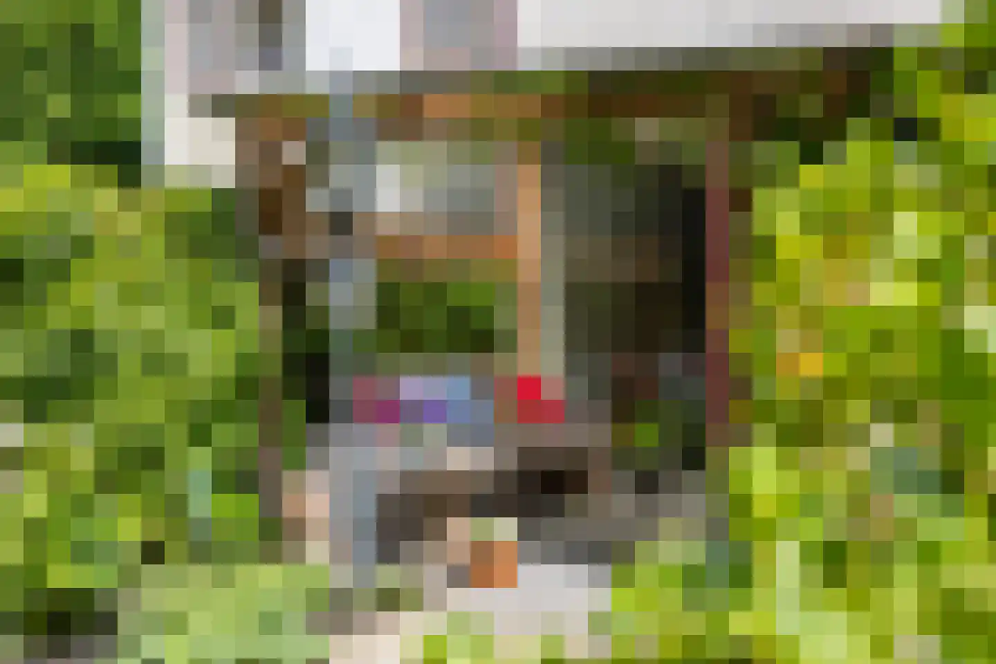 De Schalm 71 Dronten thumbnail 39
