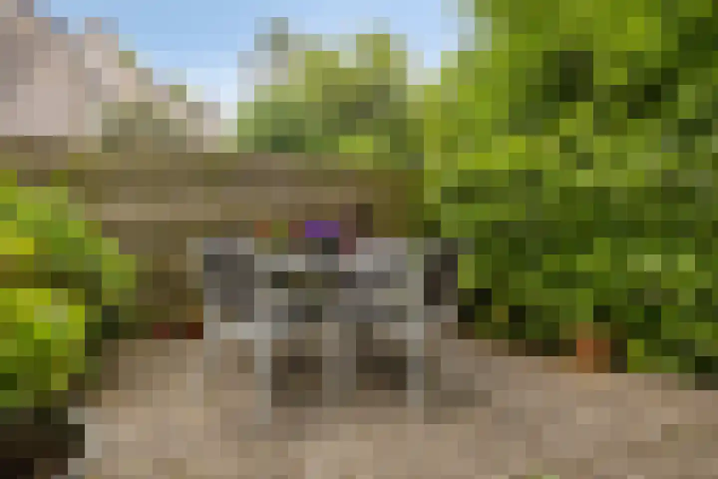 De Schalm 71 Dronten thumbnail 42