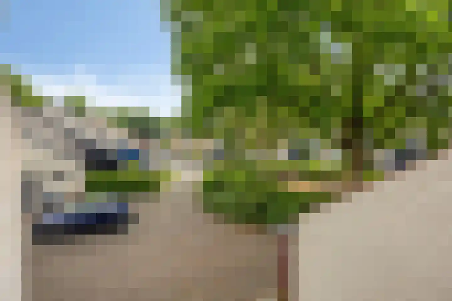 De Schalm 71 Dronten thumbnail 46