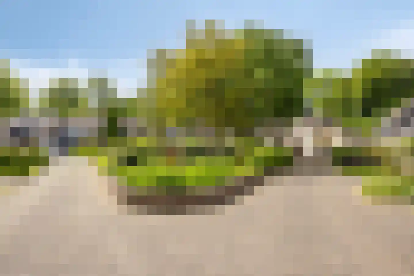De Schalm 71 Dronten thumbnail 47