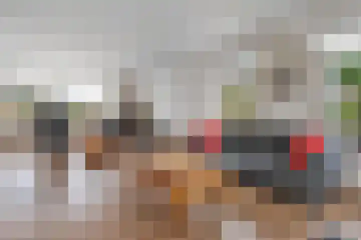 de Schammelte 6 Ommen thumbnail 14
