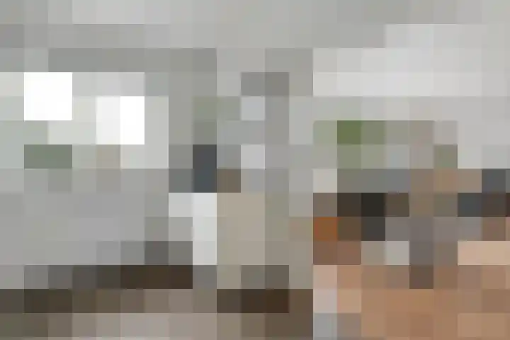 de Schammelte 6 Ommen thumbnail 19