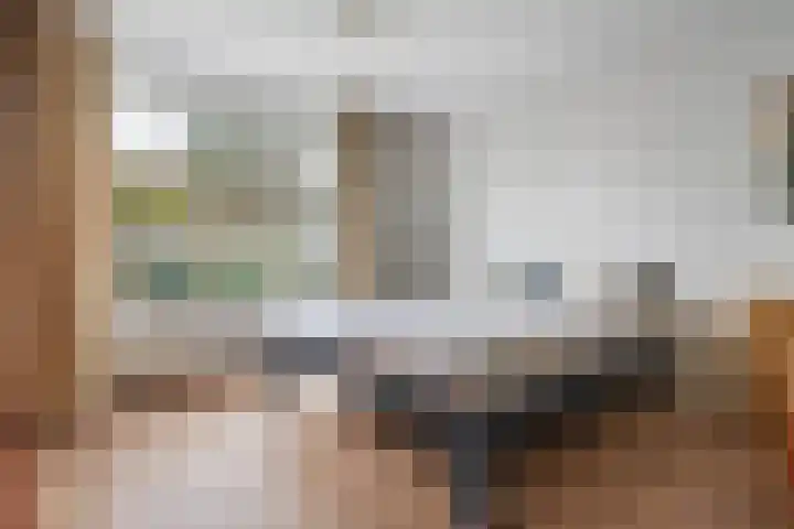 de Schammelte 6 Ommen thumbnail 23
