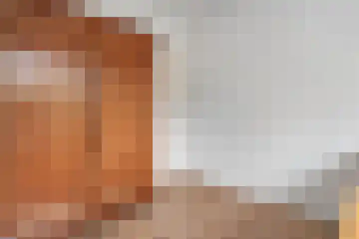 de Schammelte 6 Ommen thumbnail 26