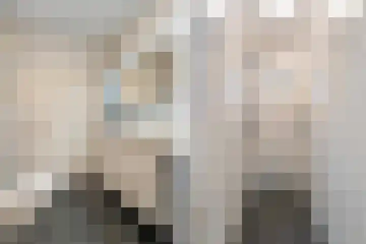 de Schammelte 6 Ommen thumbnail 28