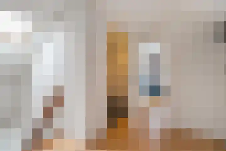 de Schammelte 6 Ommen thumbnail 29