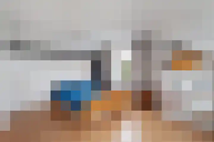 de Schammelte 6 Ommen thumbnail 30