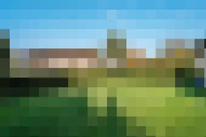 de Schammelte 6 Ommen thumbnail 37